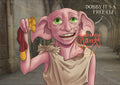 Dobby Print