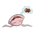 Koromon Magnet