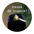 Pauza Tigara Badge