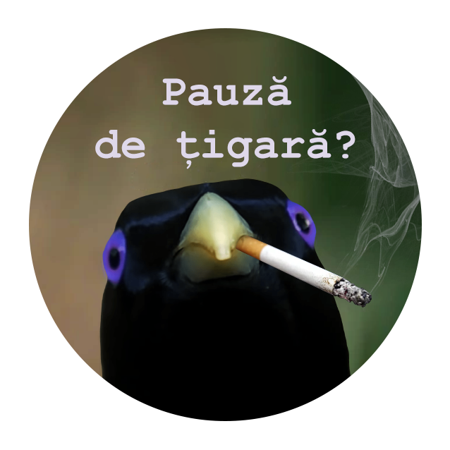 Pauza Tigara Badge