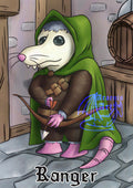 Ranger Possum Print