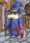 Wizard Possum Print