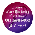 Look Llama Badge